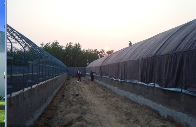 农业大棚 温室大棚骨架